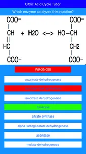 Citric Acid Cycle Tutor screenshot 4