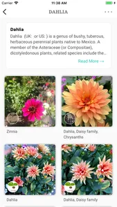 Botanicapp screenshot 5