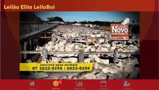 LeiloBoi screenshot 1