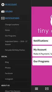 Tiny Dancers screenshot 1