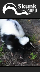 Skunk Guru screenshot 0