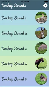 Donkey Sounds - Funny Sounds screenshot 1