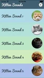 Kitten Sounds – Cat Meow Sound screenshot 1