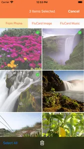 Flucard screenshot 4