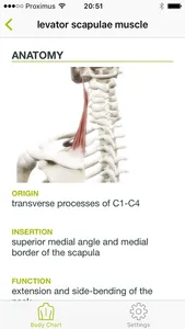 Dry Needling Guide screenshot 2