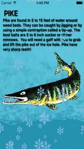 How To Ice Fish And Do It Well screenshot 1