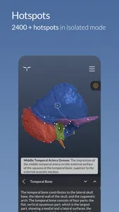 Head Atlas screenshot 1