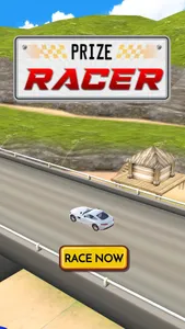 Real Money Racing Skillz screenshot 0