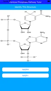 Pentose Phosphate Paths Tutor screenshot 5