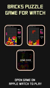 Bricks Puzzle Game For Watch screenshot 0