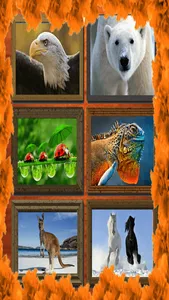 Jigsaw Puzzle: Animal screenshot 0