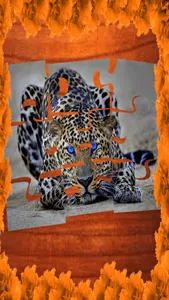 Jigsaw Puzzle: Animal screenshot 1