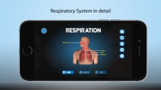 Cellular Respiration Process screenshot 0