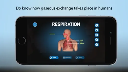 Cellular Respiration Process screenshot 1