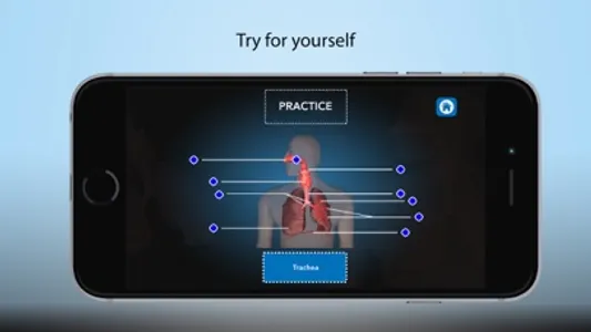 Cellular Respiration Process screenshot 3