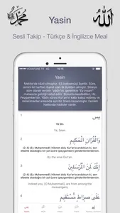 Surah Yaseen - Prayer Surah screenshot 0