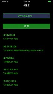 IP地址速查 - 支持网址 screenshot 0