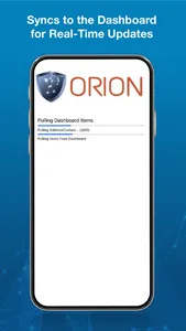 Orion Mobile Damage Assessment screenshot 6