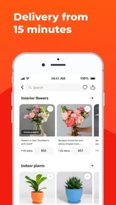 Flowwow: flowers & gifts shop screenshot 1