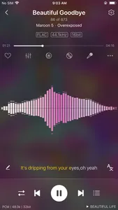 Ever Play - HiFi Music Player screenshot 9