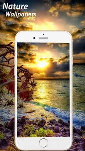 Amazing Natural Wallpapers HD screenshot 1