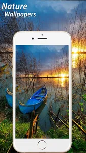Amazing Natural Wallpapers HD screenshot 2