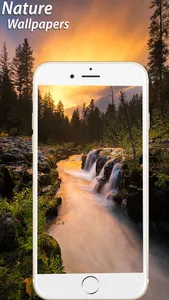 Amazing Natural Wallpapers HD screenshot 3