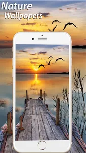 Amazing Natural Wallpapers HD screenshot 4