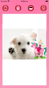 Princesses photo editor sticker maker screenshot 0