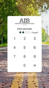 American Interstate Bank screenshot 1