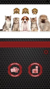 Emoji stickers to photos screenshot 5