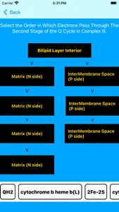Electron Transport Chain Tutor screenshot 8