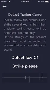 Piano Tuner(Home Edition) screenshot 2