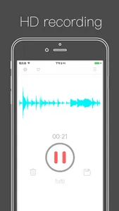 Voice Recorder ⁺ Recording screenshot 0