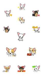 Chihuahua Dog - Stickers screenshot 1