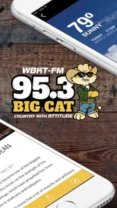 95.3 Big Cat screenshot 1