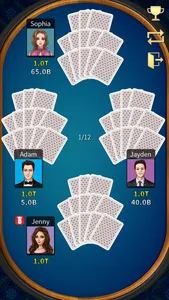 Chinese Poker (Deluxe) screenshot 7