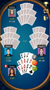 Chinese Poker (Deluxe) screenshot 8