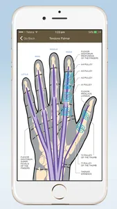 HANDOC - Hand Injury Experts screenshot 2