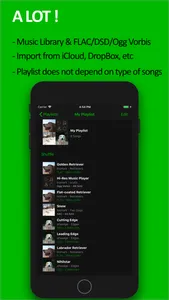 scylla - Hi-Res Music Player screenshot 2