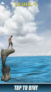 Cliff Diving 3D Jumping Sports screenshot 3