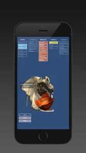 Anatomy of the Male Pelvis screenshot 1