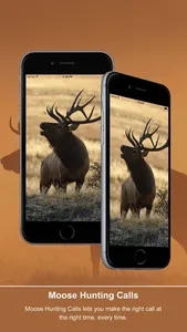 Elk Calls: Hunting Calls screenshot 0