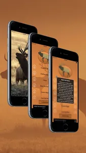 Elk Calls: Hunting Calls screenshot 3