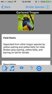 Belize Birds Field Guide screenshot 2