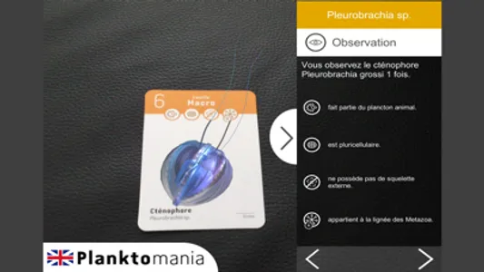 PlanktoMania-AR screenshot 1