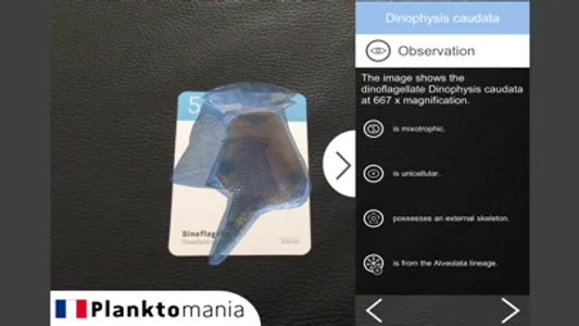 PlanktoMania-AR screenshot 2