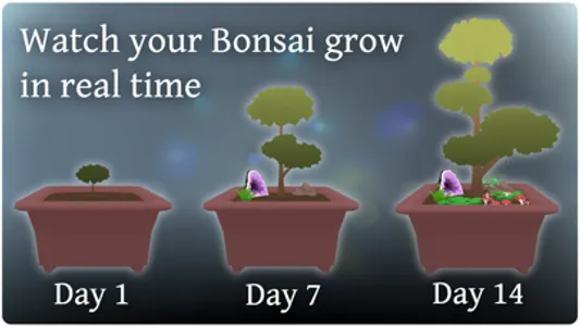 Pocket Bonsai screenshot 0