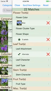 Minnesota Wildflowers Info. screenshot 2