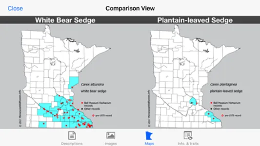 Minnesota Wildflowers Info. screenshot 5